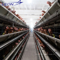 Pullet Cage Layer Cage der Leon-Serie in Kenia
